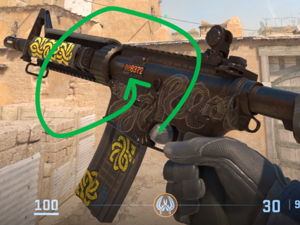 CS2 StatTrak Boost (x5000)