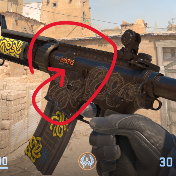CS2 StatTrak Boost (x5000)