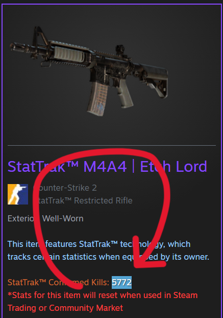 CS2 StatTrak Boost (x5000)